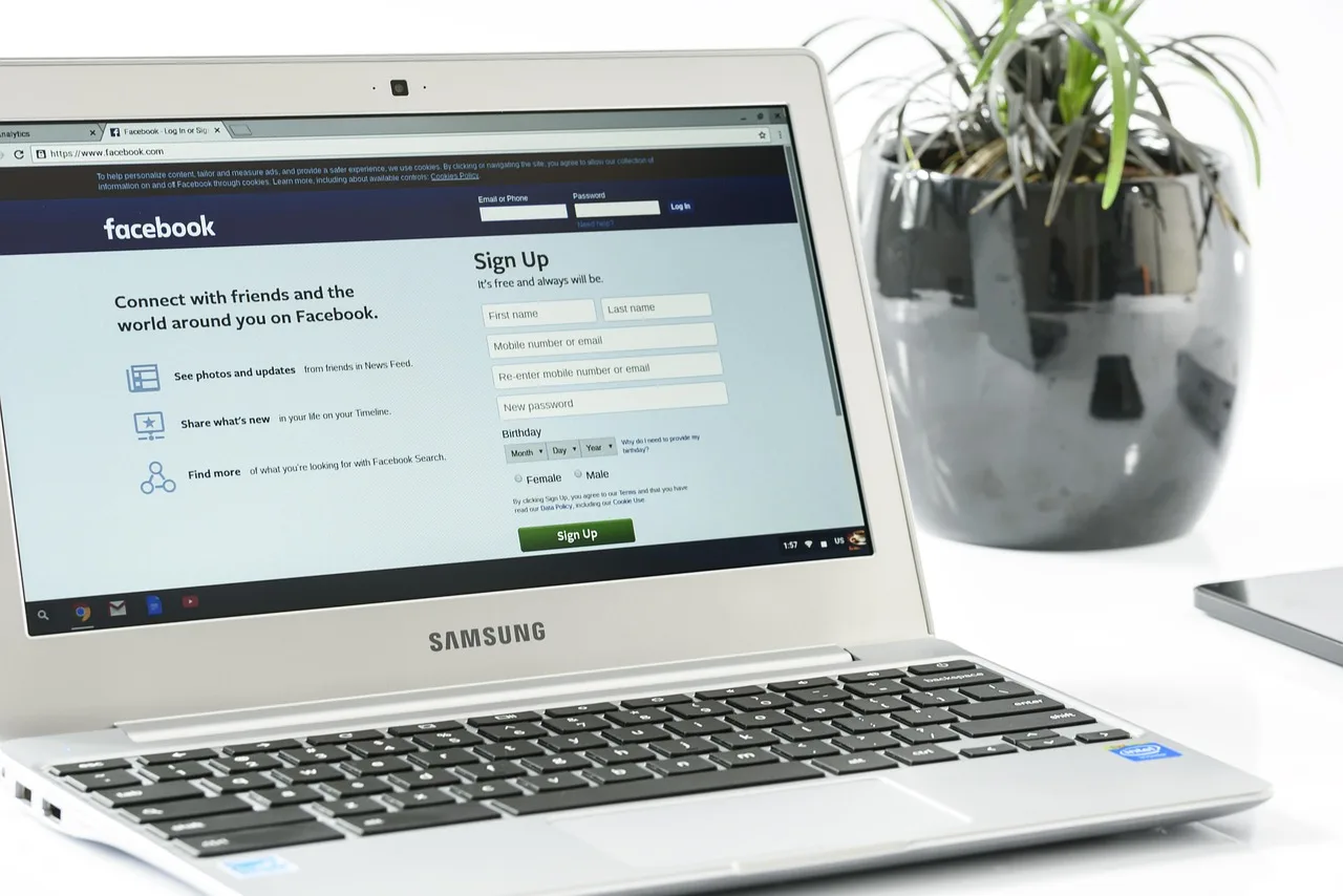 facebook login, office, beautiful flowers, laptop, business, computer, modern, samsung, flower background, chromebook, cloudbook, netbook, manager's desk, flower, finances, flower wallpaper, social media, break at work, communication, internet, internet network, people, information, media, silver, metal, nature, pretty. Social media career paths: coordinator, specialist and manager routes
